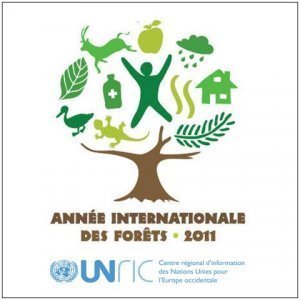 Année Internationale des Forêts