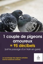 Pigeons 7